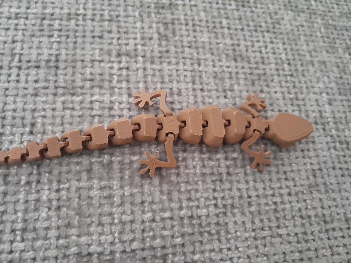 3D Lizard
