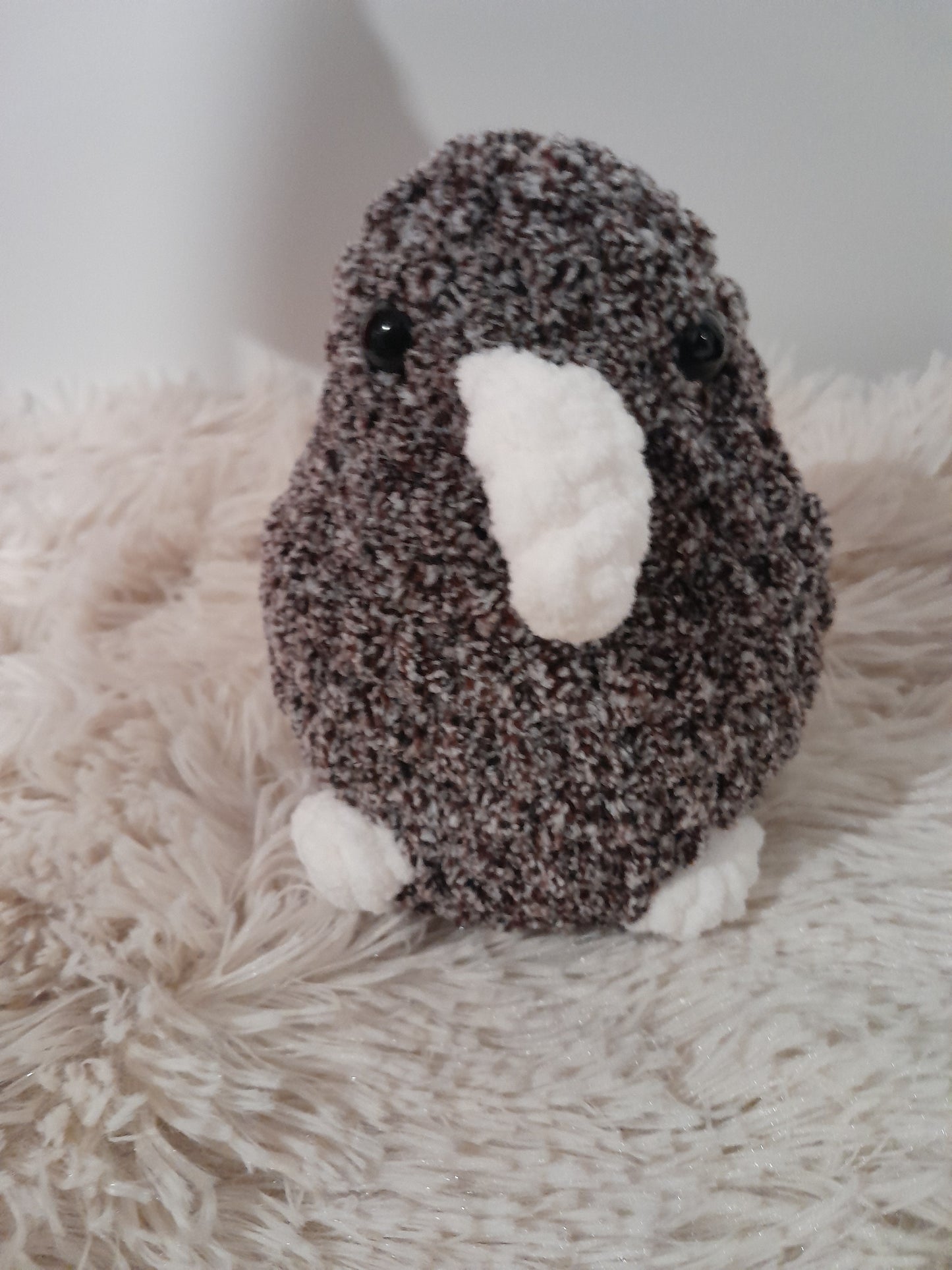 Kiwi bird