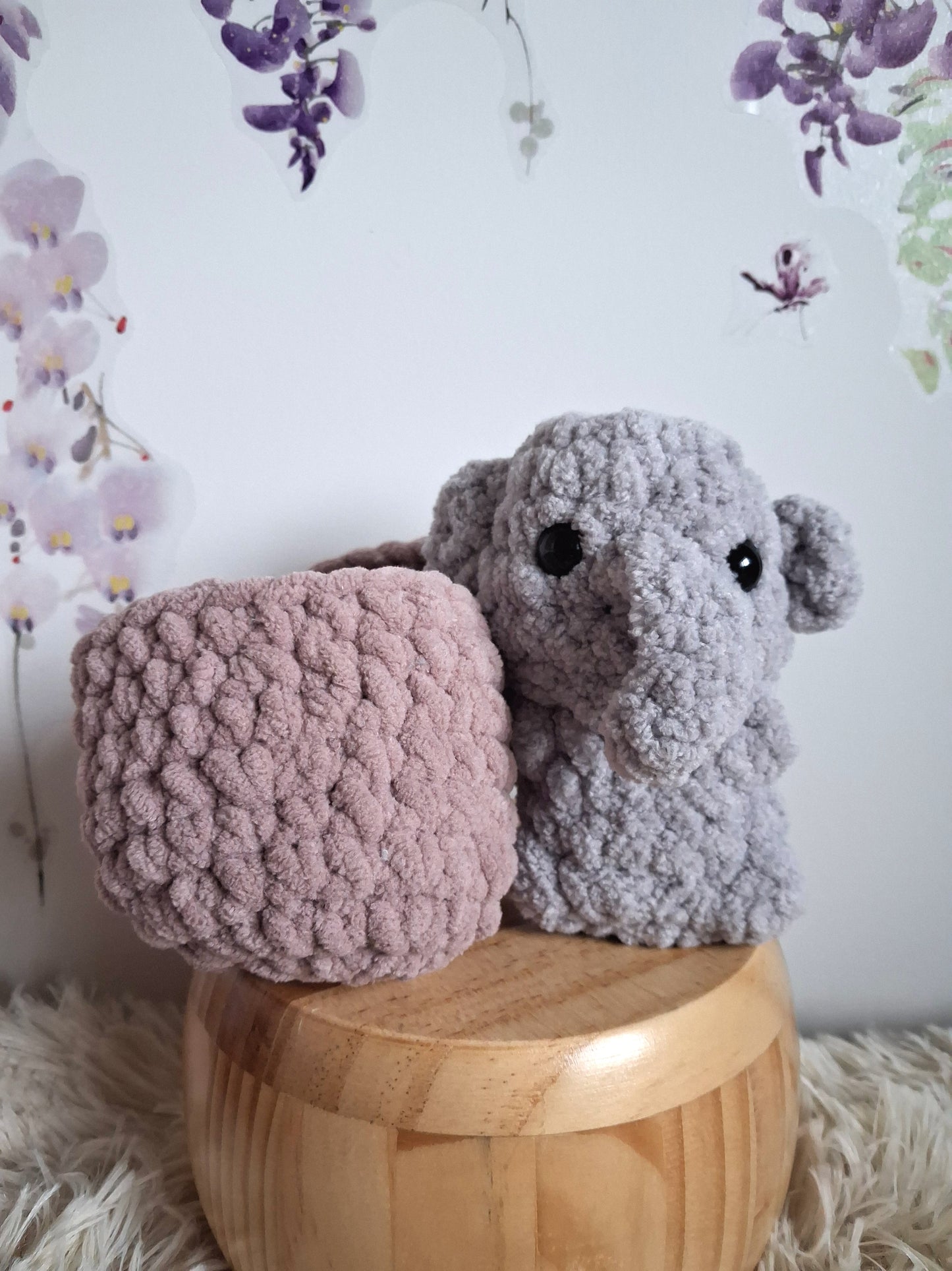 Baby animal Hatchlings