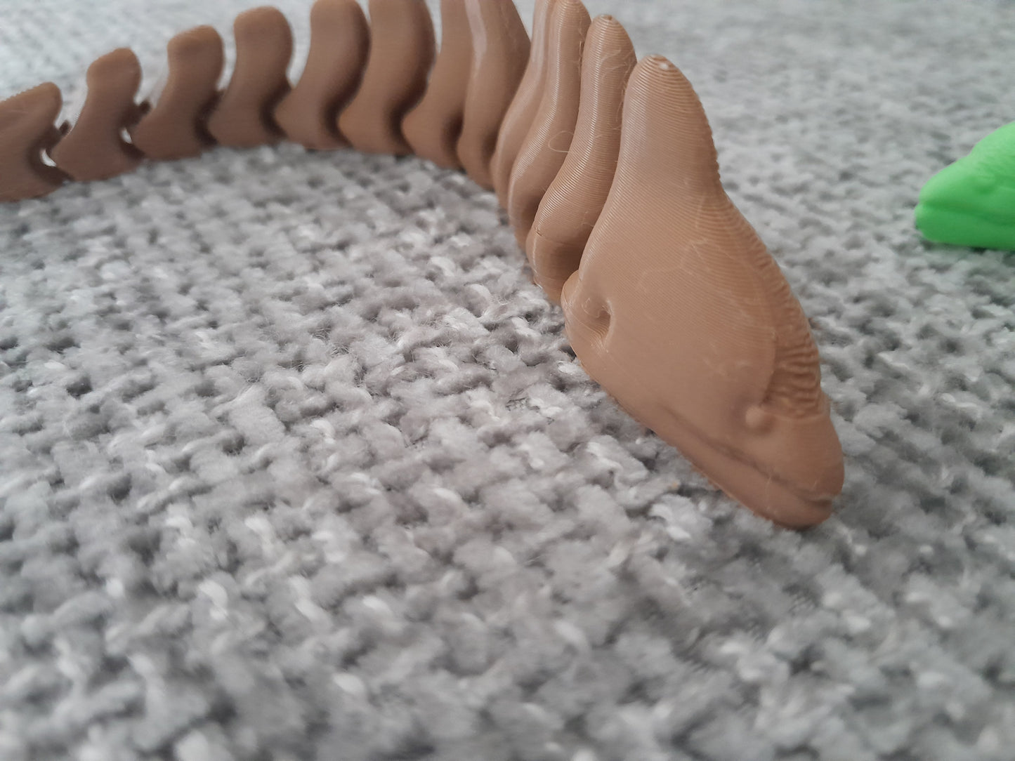 3D Eels (set of 2)