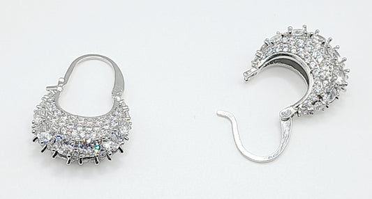 Sparkling earrings