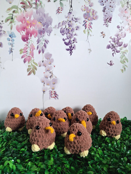 10 kiwi birds