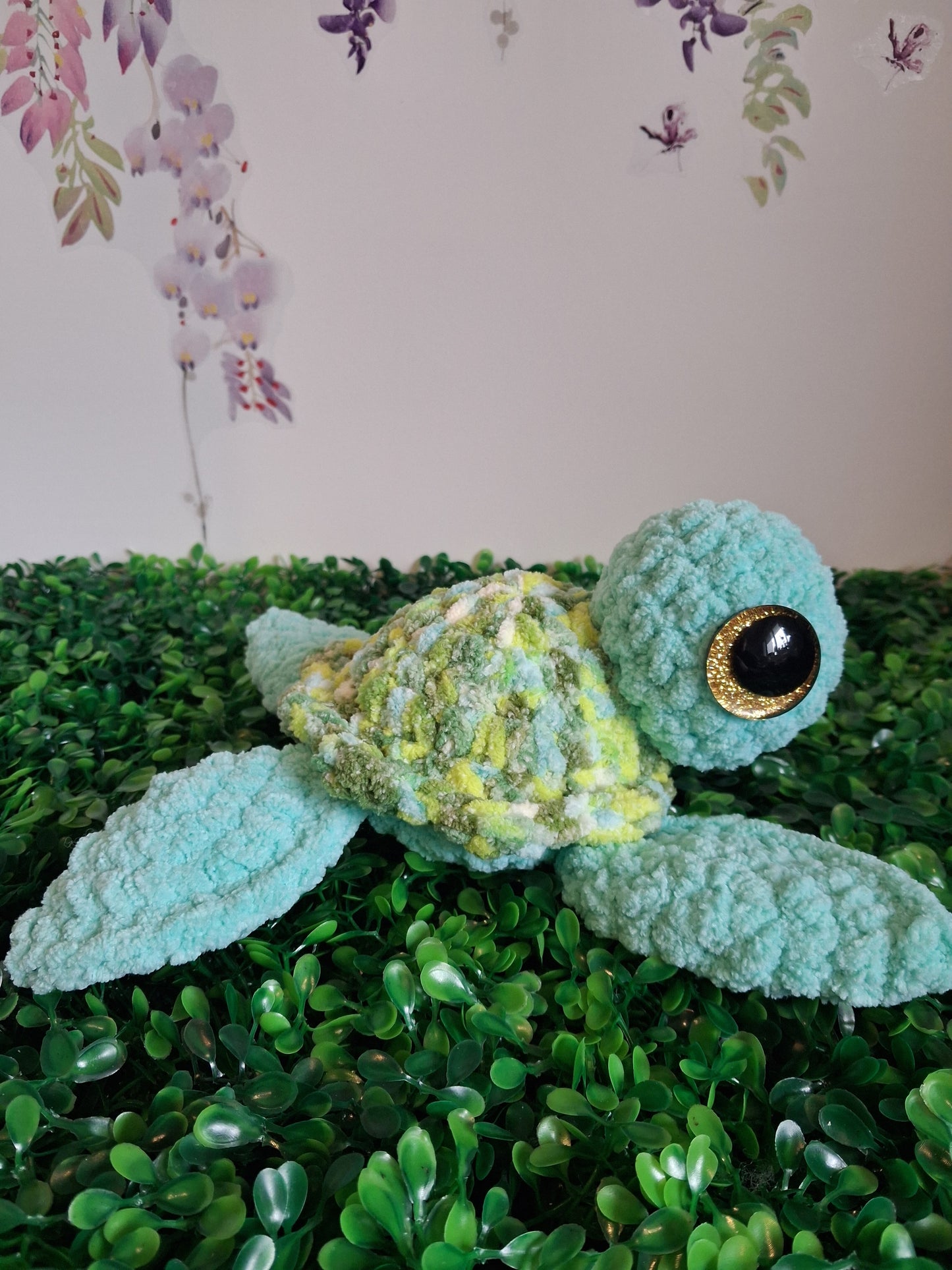 Sea turtle - Mixed green turtle