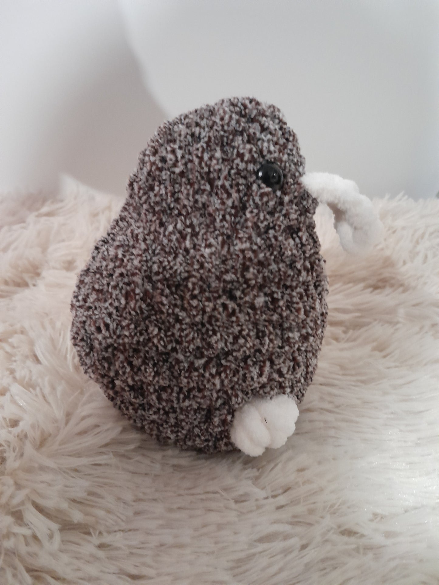 Kiwi bird